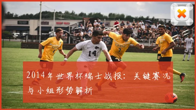 2014年世界杯瑞士战报:关键赛况与小组形势解析