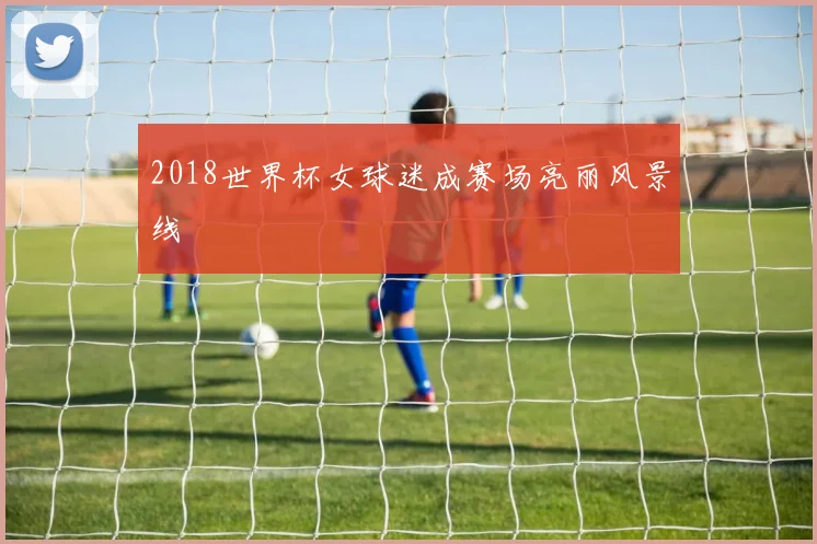 2018世界杯女球迷成赛场亮丽风景线