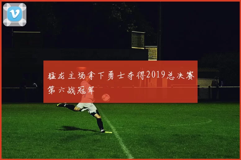 猛龙主场拿下勇士夺得2019总决赛第六战冠军