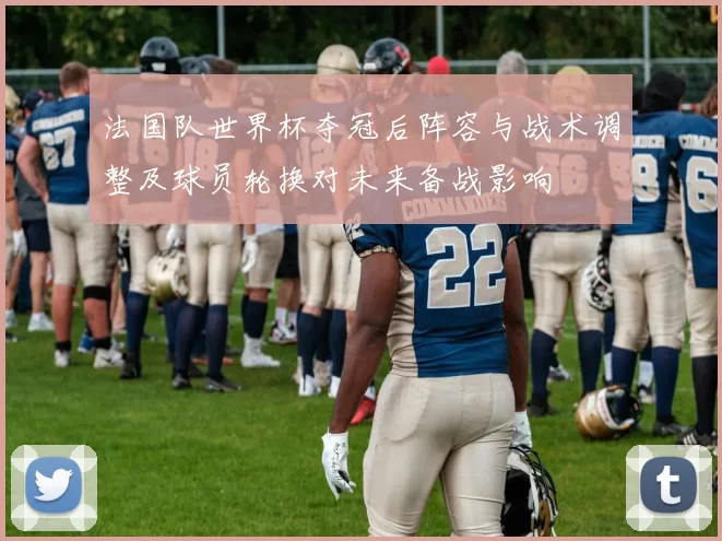 法国队世界杯夺冠后阵容与战术调整及球员轮换对未来备战影响