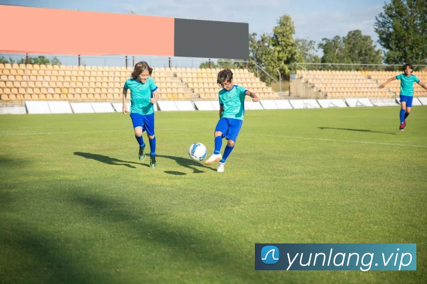 MK体育(国际)官方网站 - MKSPORTS平台生态图